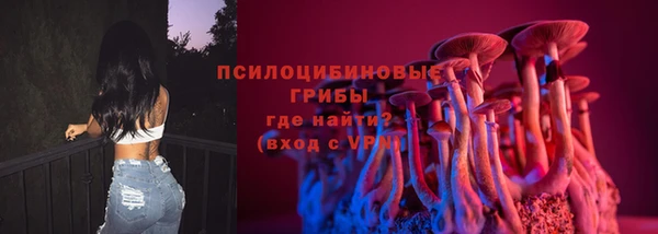 сатива Каменск-Шахтинский