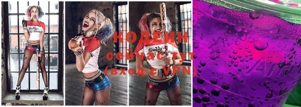 сатива Каменск-Шахтинский