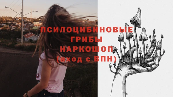 сатива Каменск-Шахтинский